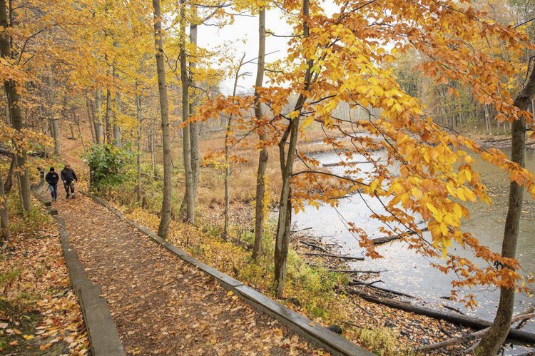 For Sam McNulty, one option is an off-trail hike in the Cleveland Metroparks with his wife, Ciara, and their dog.
