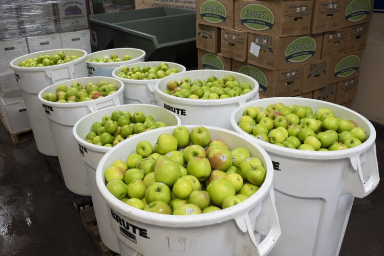 Apples await juicing for Garden of Flavor at Central Kitchen