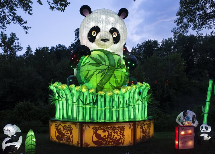 asian_lantern_festival_2019_338.jpg