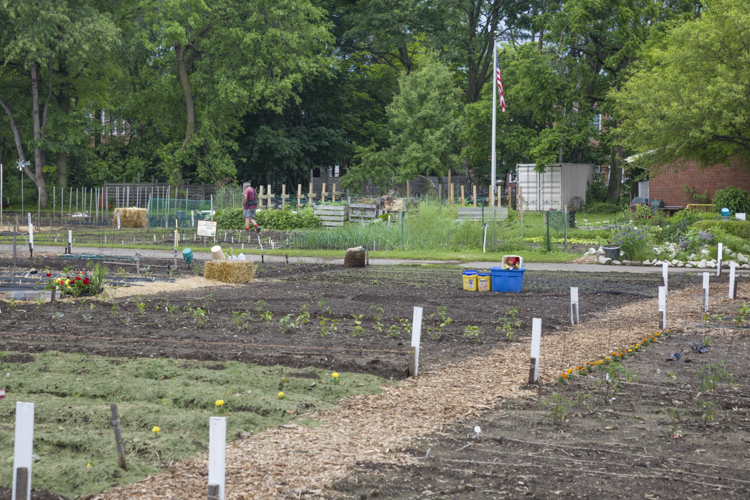 Ben Franklin Community Garden in Old Brooklyn