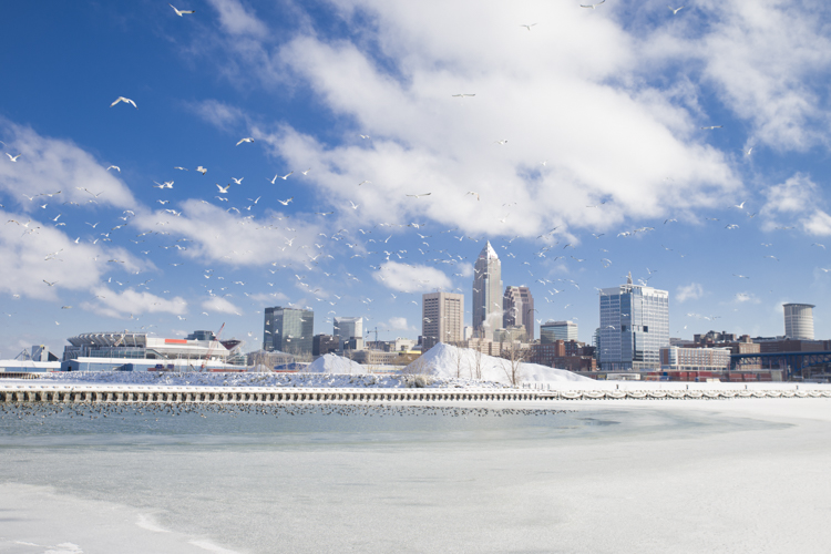 Ducks and gulls on the frozen Cuyahoga