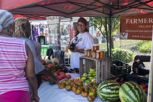 Village Family Farms displayed a bounty of vegetables at Fresh Fest 2019