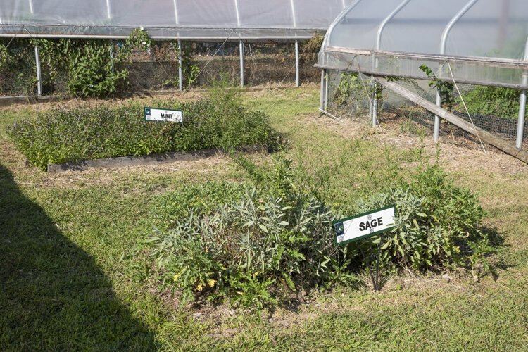 The Rid-All Green Partnership showed off its green thumb at Fresh Fest.