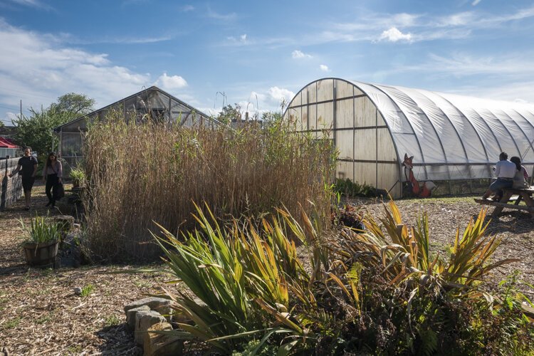 The Rid-All Green Partnership co-hosted Fresh Fest.