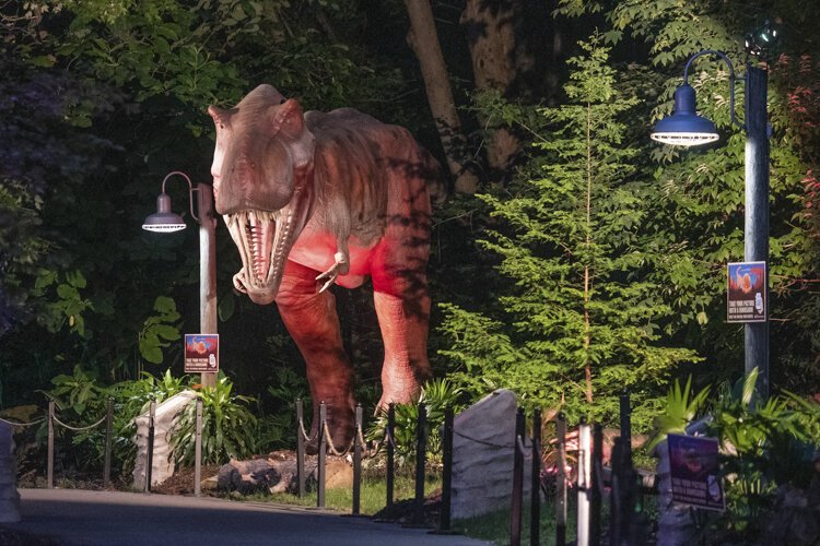 Asian Lantern Festival