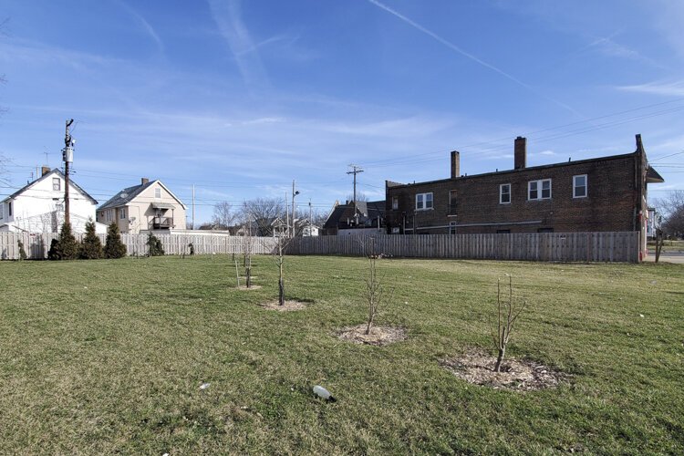 In late October, BBC and the Land Conservancy began implementing plans to create the Garden of 11 Angels on the now-vacant eight parcels of land on Imperial Ave.