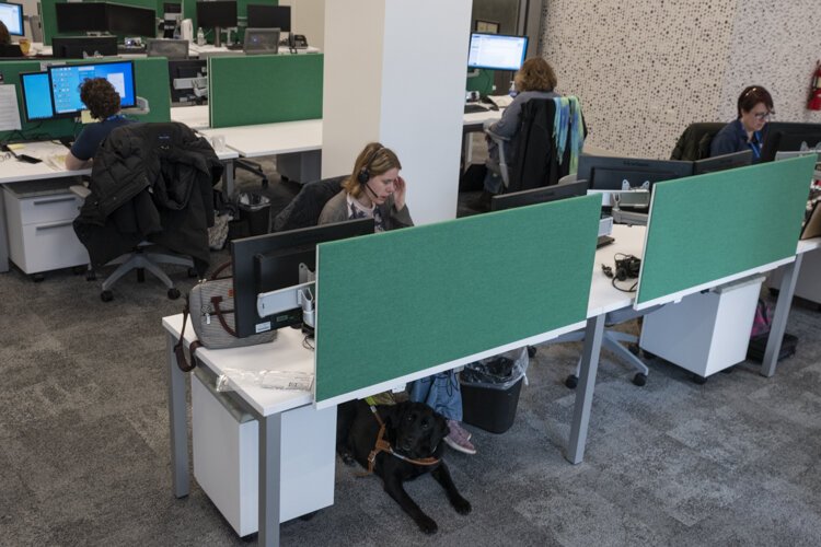 United Way of Greater Cleveland 2-1-1- HelpLink navigators at work.