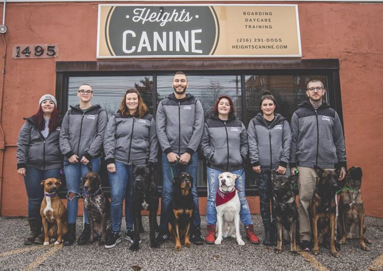 Heights Canine, a dog training, boarding, and daycare operation.