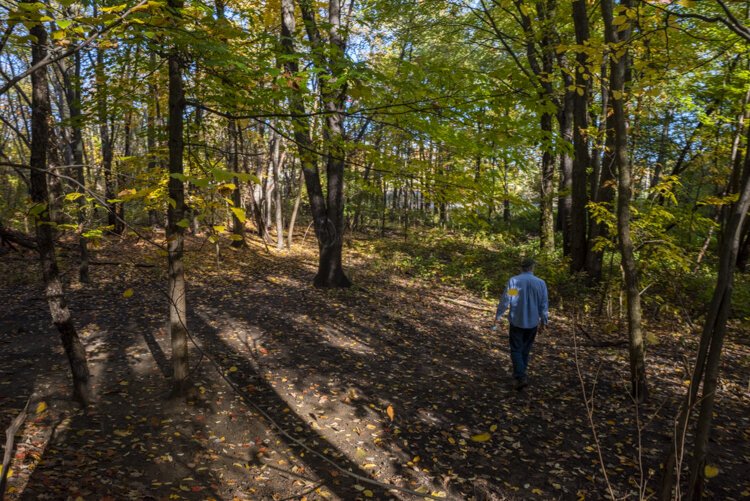 A walk along the forest floor in Brooklyn Oxbow.