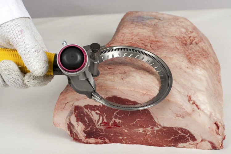 Bettcher Industries is just one example of how meat disassembly needs skilled talent to fulfill rising demand in consumption.