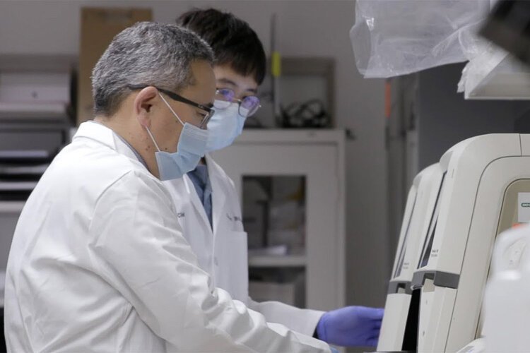 In the lab at the Global Center for Pathogen Research & Human Health