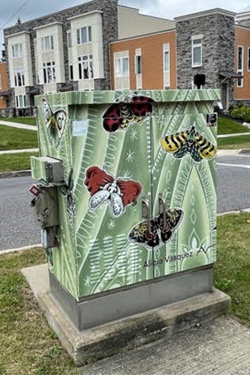 "Things that fly' by Alicia Vasquez