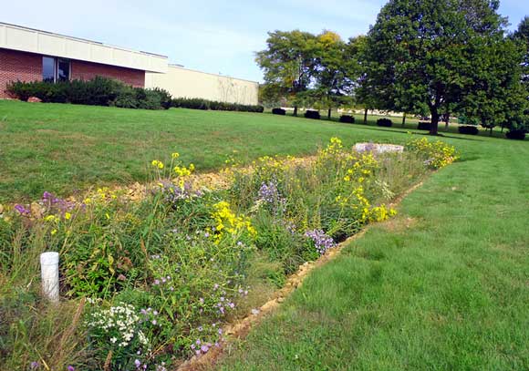 Osorb® bioswales at the ABSMaterials headquarters facility in Wooster - Photo courtesy of ABS