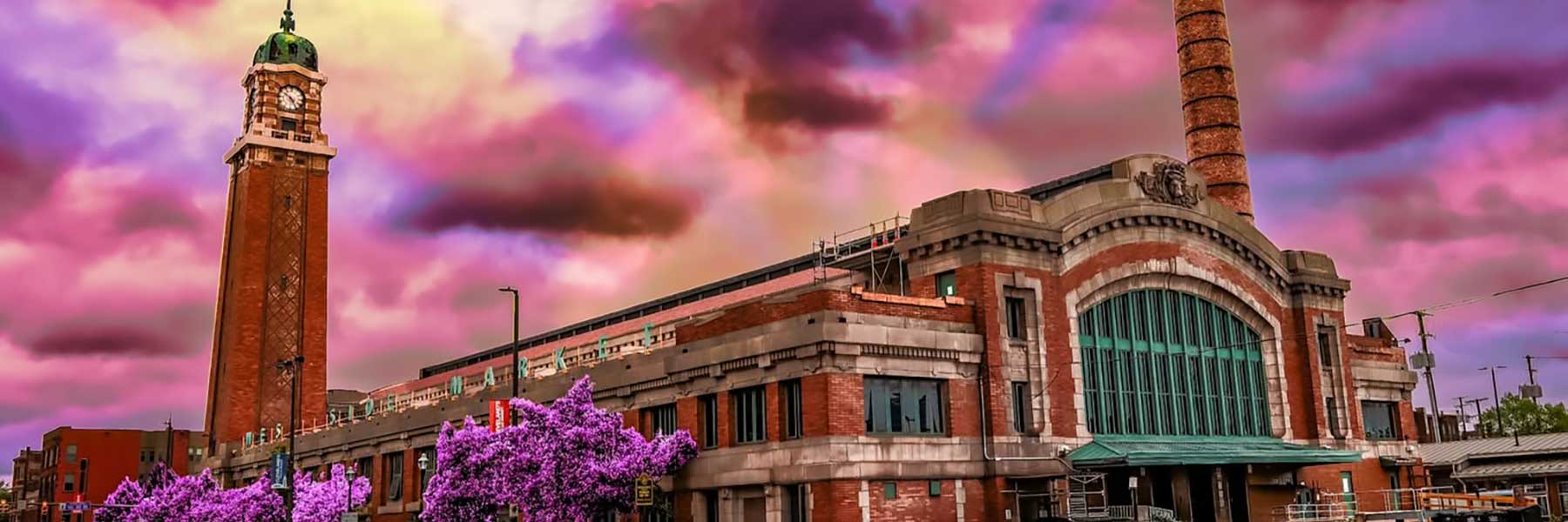 A rosy outlook