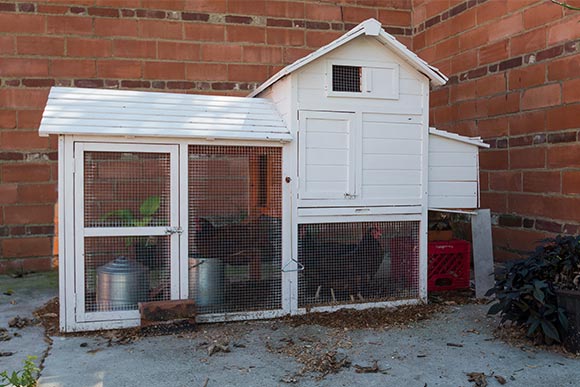 Chicken coop at at EDWINS Campus
