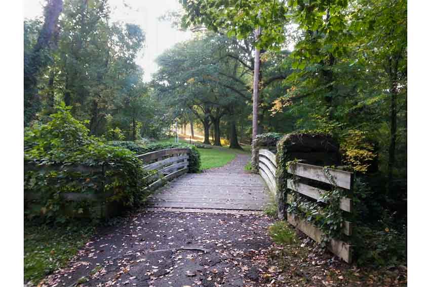 2015: Landscape/Nature Runner-Up—Morning in Southerly Park, Renee Leonard