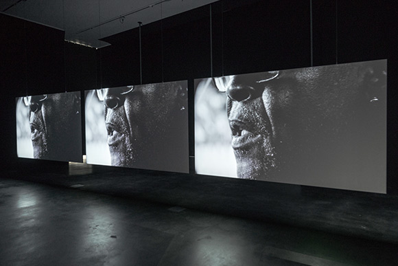 Adam Pendleton, My Education: A Portrait of David Hilliard, 2011-2014