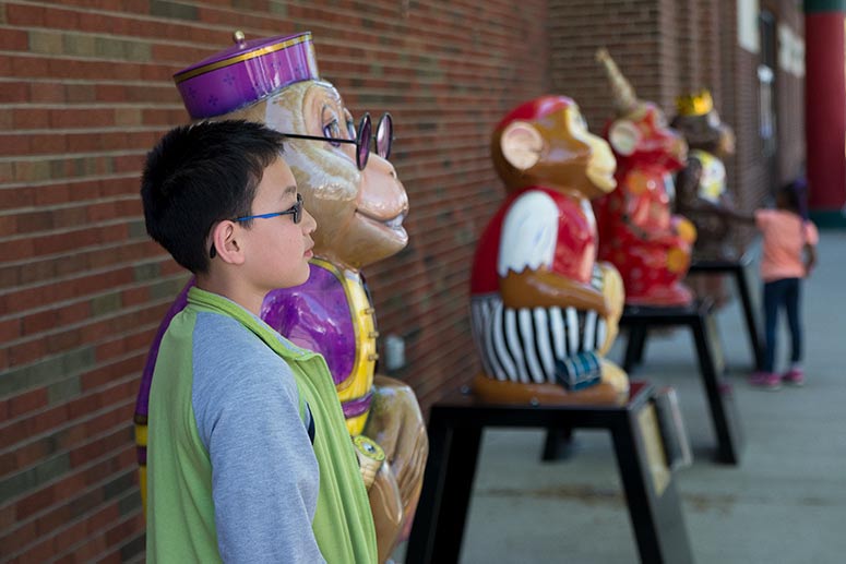 Year of the Monkey 2016