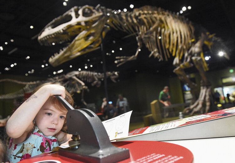 Cleveland Museum of Natural History visitors can meet breeds such as the Giganotosaurus and Suchomimus at “Ultimate Dinosaurs.”