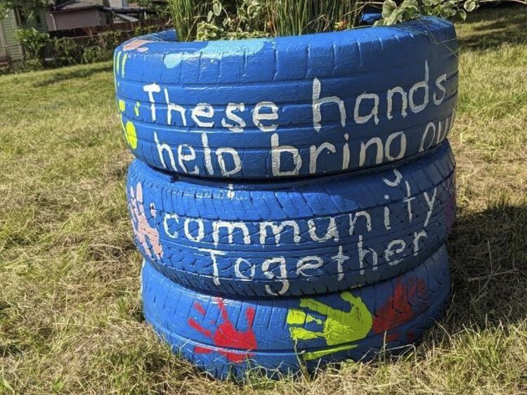 Painting a better picture Ward 14