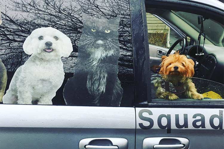 Yolanda's Yorkie, Bruiser in the window of the ambulance