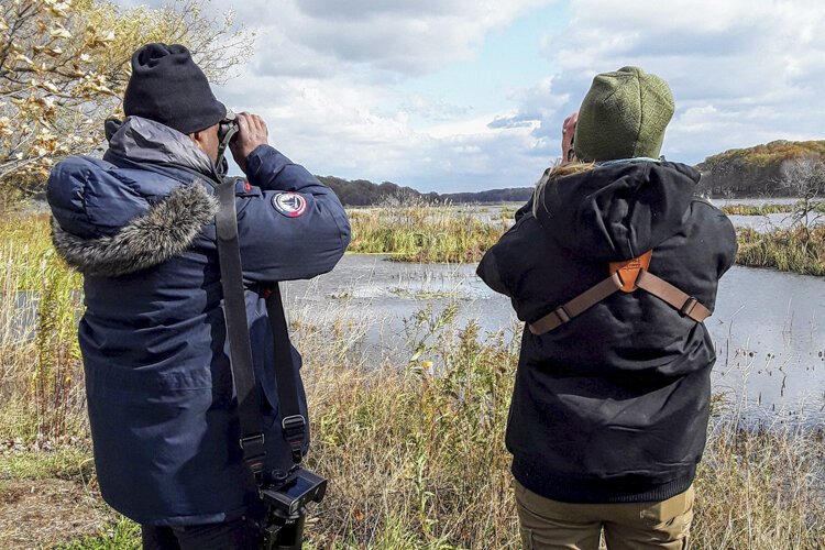 Lake County Lakefront Bird Walk Tour at Mentor Marsh.