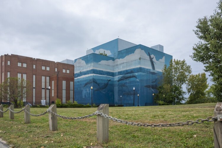 Wyland returns to Cleveland to touch up the now-faded mural and promote his mission to educate people, especially students, on the importance of water conservation through the Wyland Foundation.