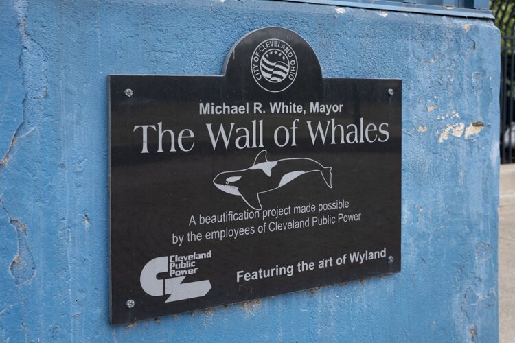 'Song of Whales' artist visits to refresh mural, promote water conservation