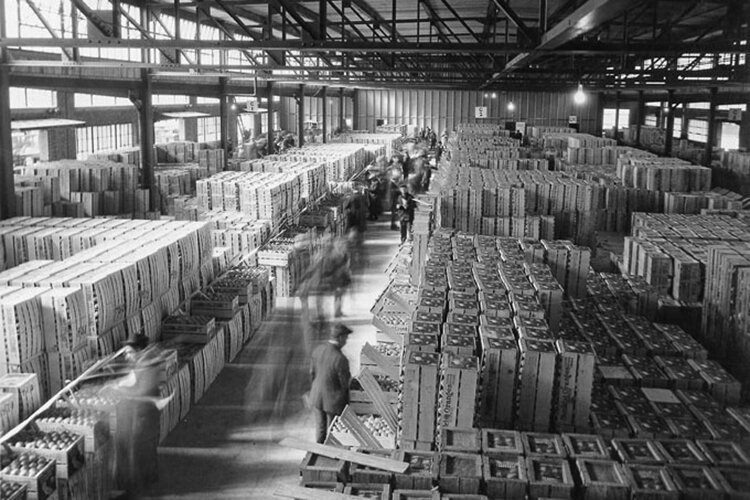 Rows of produce and other goods fill the inside the Northern Ohio Food Terminal in 1929.