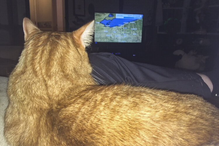 Casimir doing some weather research.