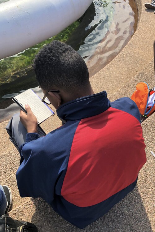 Lake Erie Ink launches a brand-new creative activity for anyone and everyone who has a story to share with the One Summer Day… Creative Community Challenge.