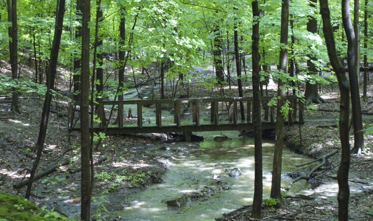 One of the bridges that will be replaced on the trail