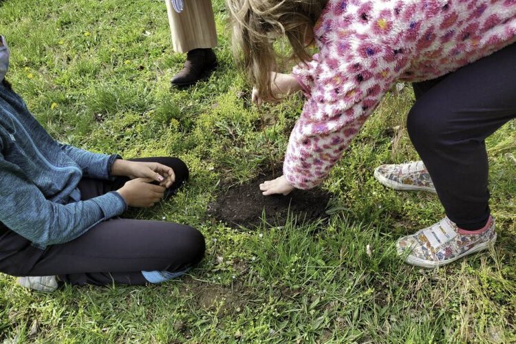 The NEOPIPE Organization also donated 100 tree seedlings that are to be distributed to area residents and students to plant in the neighborhood.