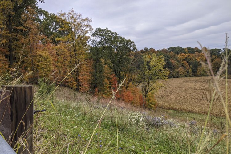 Fall is full of melancholy beauty.