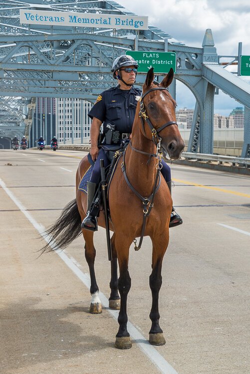 Police Mountie during Pride in the CLE 2016.