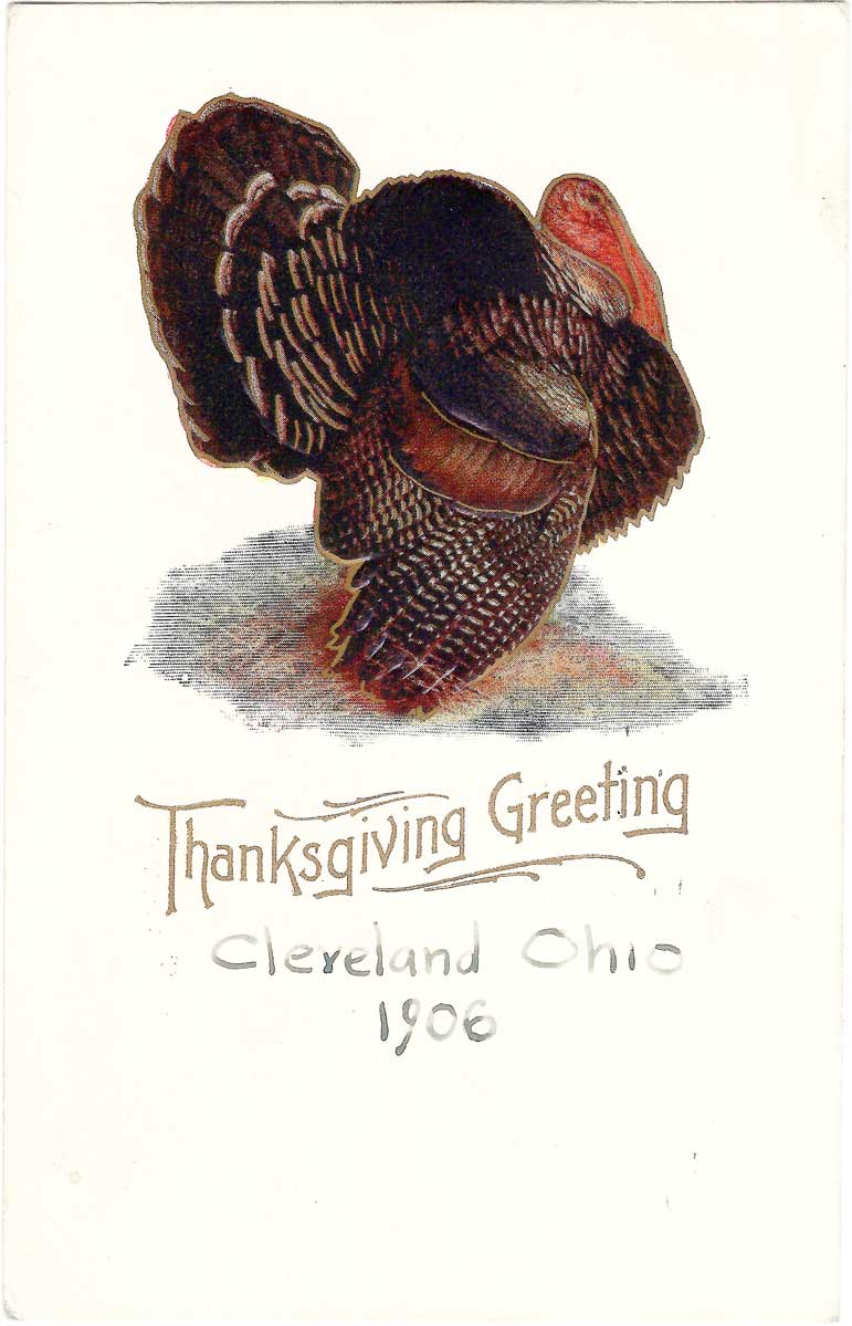 Thanksgiving Greeting (1906)